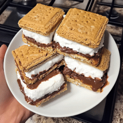 Frozen S’mores Recipe: Easy No-Bake Summer Dessert
